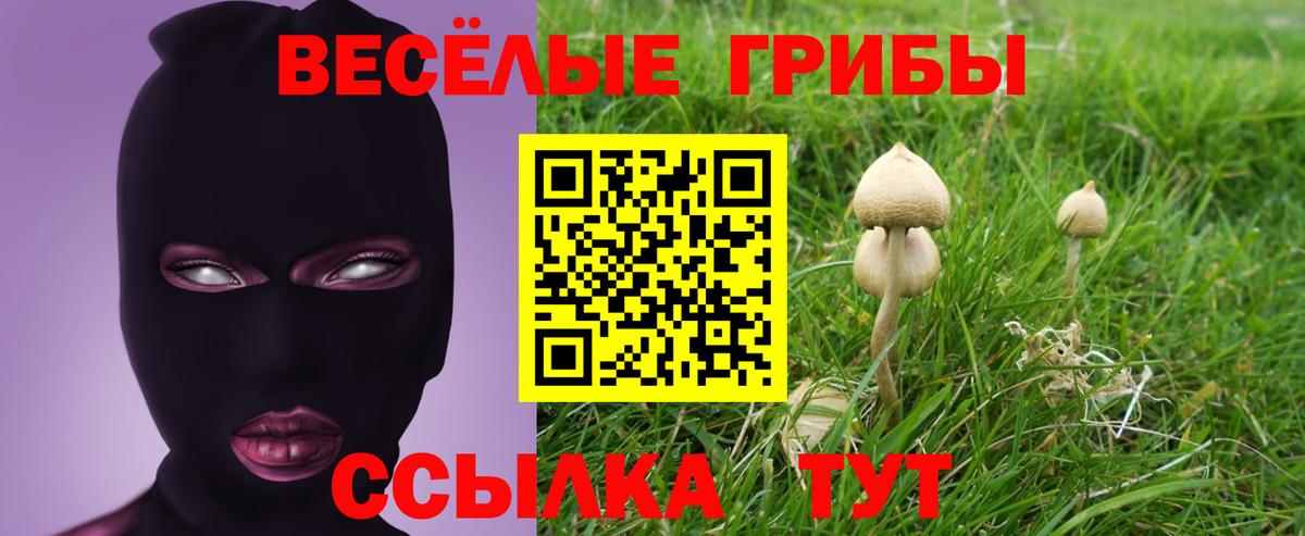 Псилоцибиновые грибы прущие грибы  Псилоцибиновые грибы мицелий  Вход с VPN  Гуково 